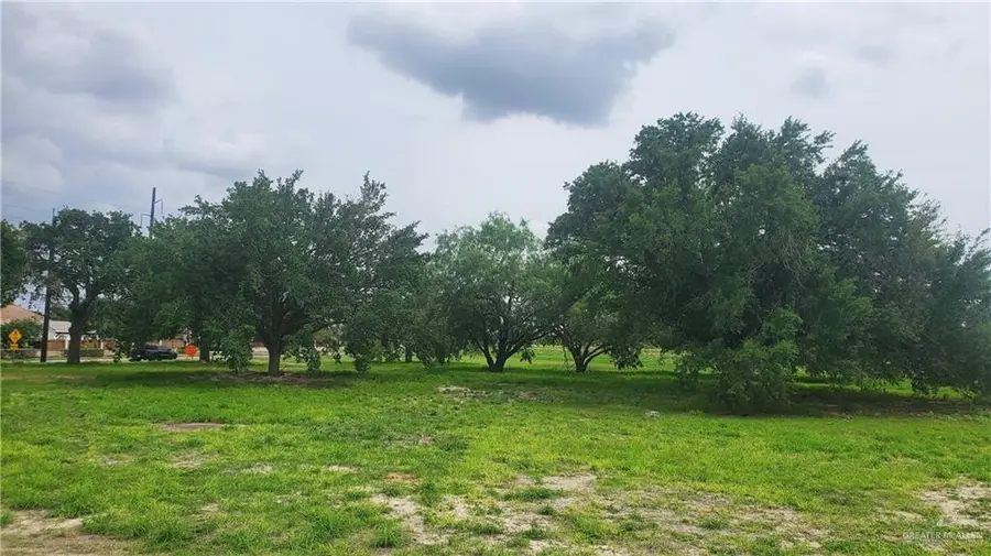 713 S Westgate Drive, Weslaco, TX 78596 - #2