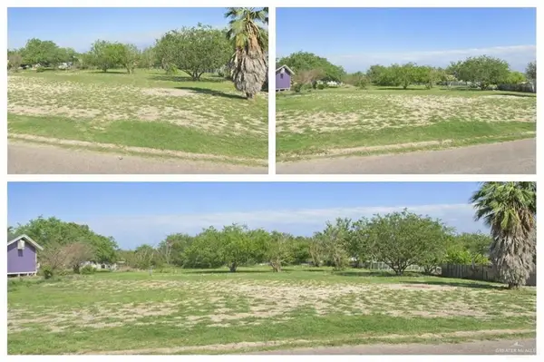 TBD Washington Palm Drive, Penitas, TX 78576