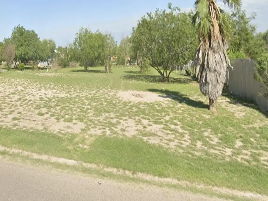 TBD Washington Palm Drive, Penitas, TX 78576 - #2