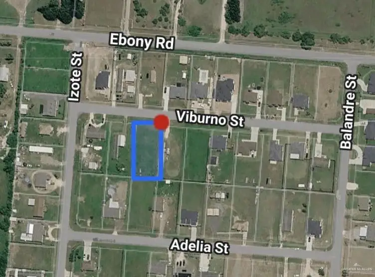 00 N Viburno N, Los Fresnos, TX 78566 - #1