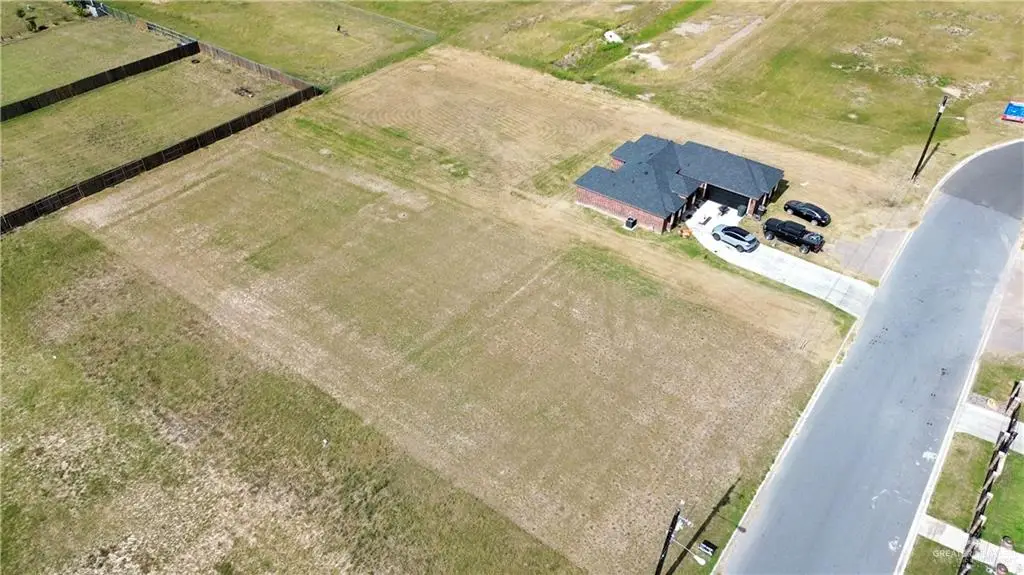 23217 Vista Drive, Monte Alto, TX 78538 - #1