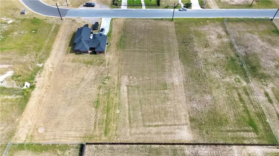 23217 Vista Drive, Monte Alto, TX 78538 - #3
