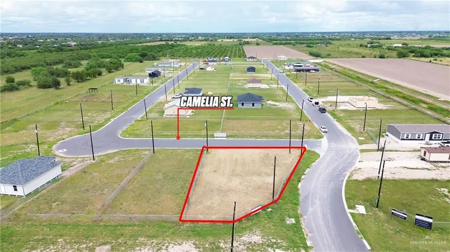 209 Camelia Street, Alamo, TX 78516 - #2