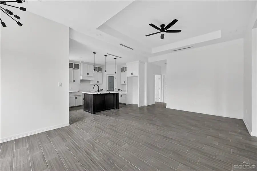 1305 S 9th Street, Alamo, TX 78516 - #3