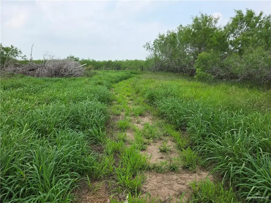 8254 E Monte Cristo Road, Edcouch, TX 78538 - #3