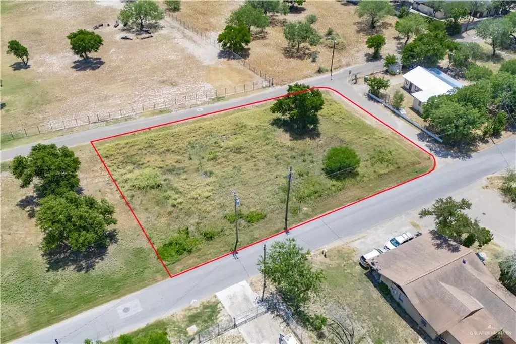 931 S Garza Avenue, La Joya, TX 78560 - #1