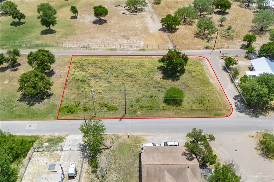 931 S Garza Avenue, La Joya, TX 78560 - #2