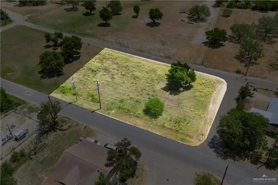 931 S Garza Avenue, La Joya, TX 78560 - #3