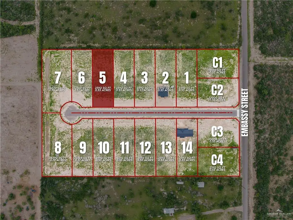 110 Starrview Drive, Rio Grande City, TX 78582 - #1