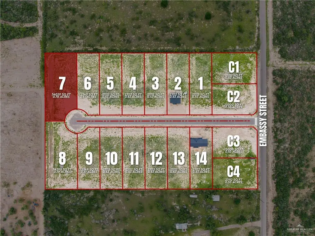 114 Starrview Drive, Rio Grande City, TX 78582 - #1