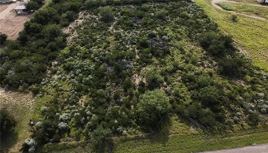 TBD Paseo De La Mulada, Rio Grande City, TX 78582 - #3