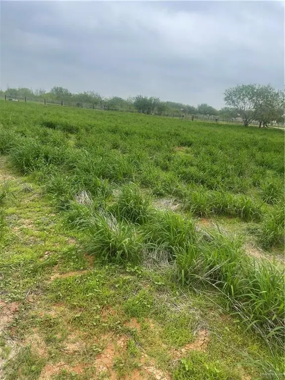 24307 Rio Colorado Road, Edinburg, TX 78541 - #1