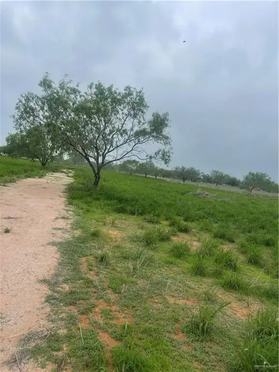 24307 Rio Colorado Road, Edinburg, TX 78541 - #2