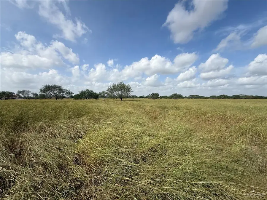 24307 Rio Colorado Road, Edinburg, TX 78541 - #3