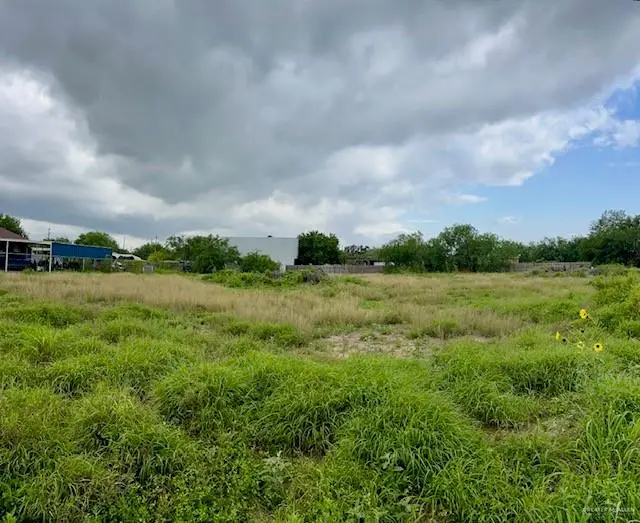 708 Monterrey Drive, Weslaco, TX 78599 - #3