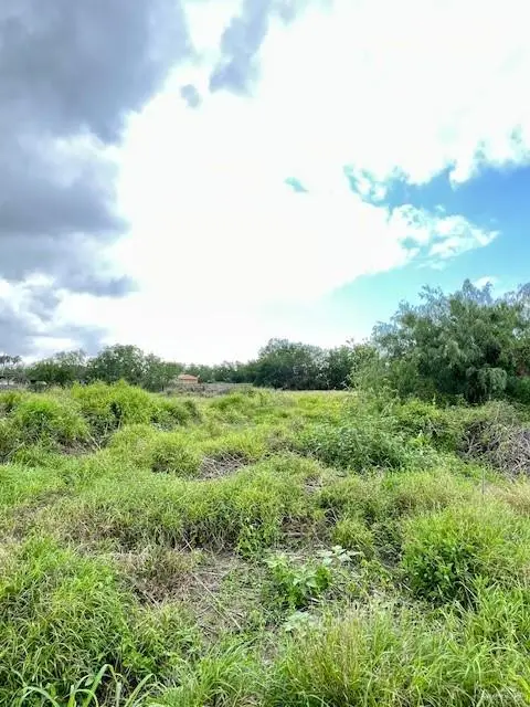 704 Monterrey Drive, Weslaco, TX 78599 - #1