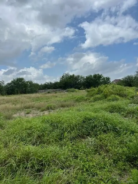 704 Monterrey Drive, Weslaco, TX 78599 - #2