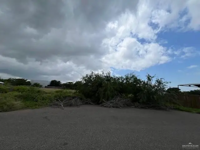 704 Monterrey Drive, Weslaco, TX 78599 - #3