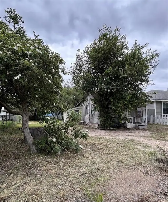 412 W Adams Avenue W, Alton, TX 78573 - #2