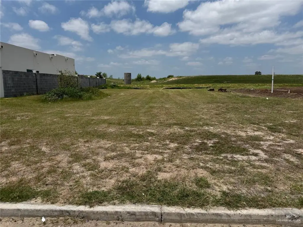 1627 S Middleton Street, Edinburg, TX 78539 - #1