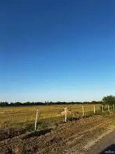 9380 Iowa Road, Mission, TX 78574 - #3