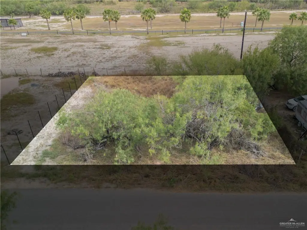 2014 Citrus Groves Street, Mission, TX 78574 - #1