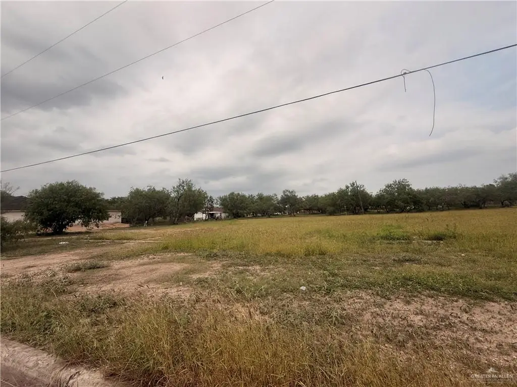 TBD S Colorado Street, Mercedes, TX 78570 - #1