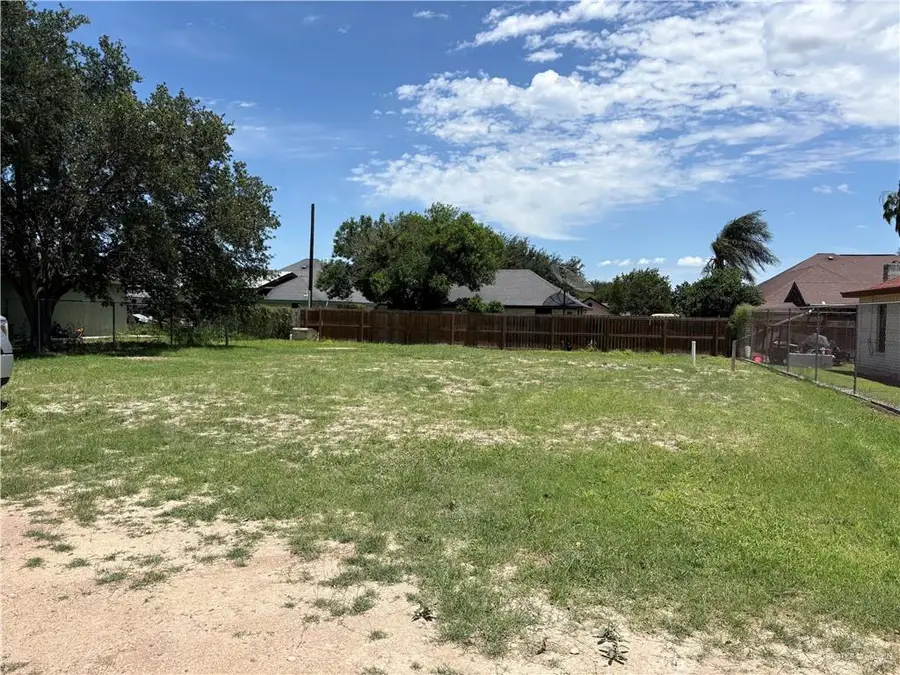 706 Nogales Street, Palmview, TX 78572 - #2