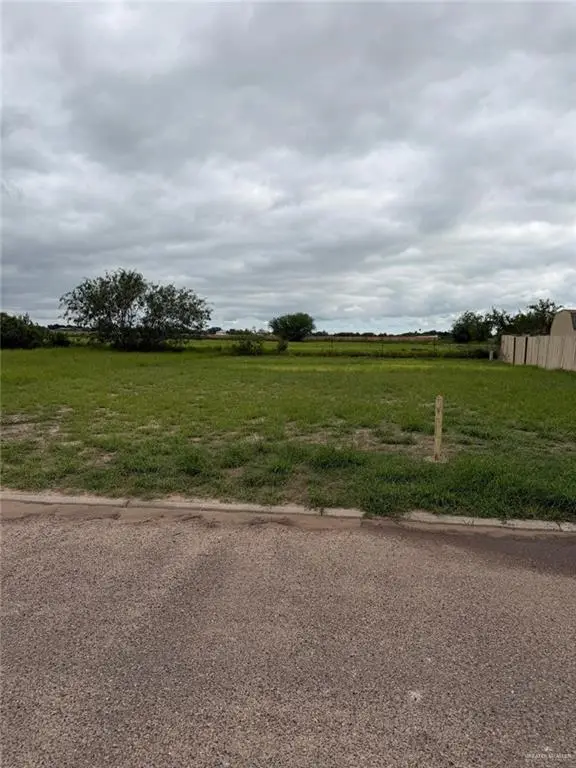 1907 W Diamond Head Avenue, Mission, TX 78573 - #2