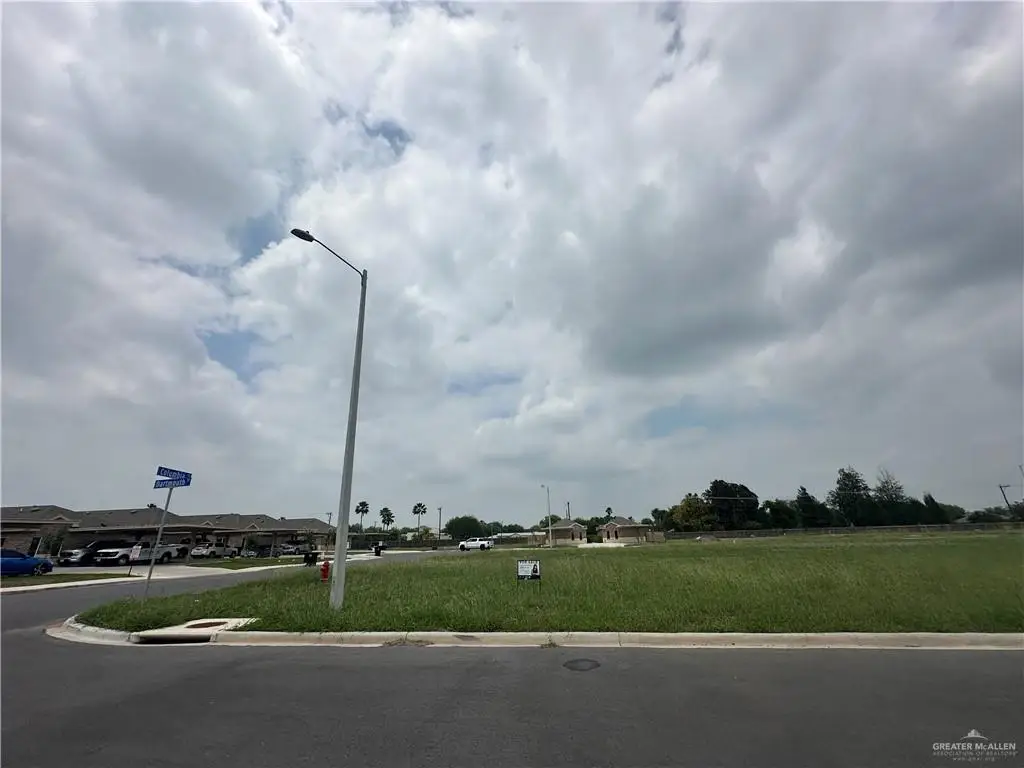 2817 Brown Street, Weslaco, TX 78596 - #1