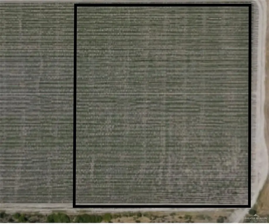 0 Mile 17 1/2 N, La Blanca, TX 78538 - #1