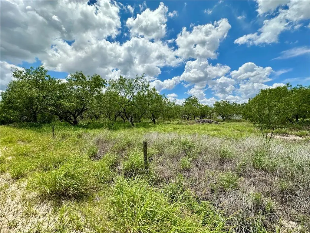 0 Calichera Road, Edinburg, TX 78541 - #1