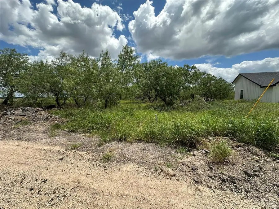 0 Calichera Road, Edinburg, TX 78541 - #2