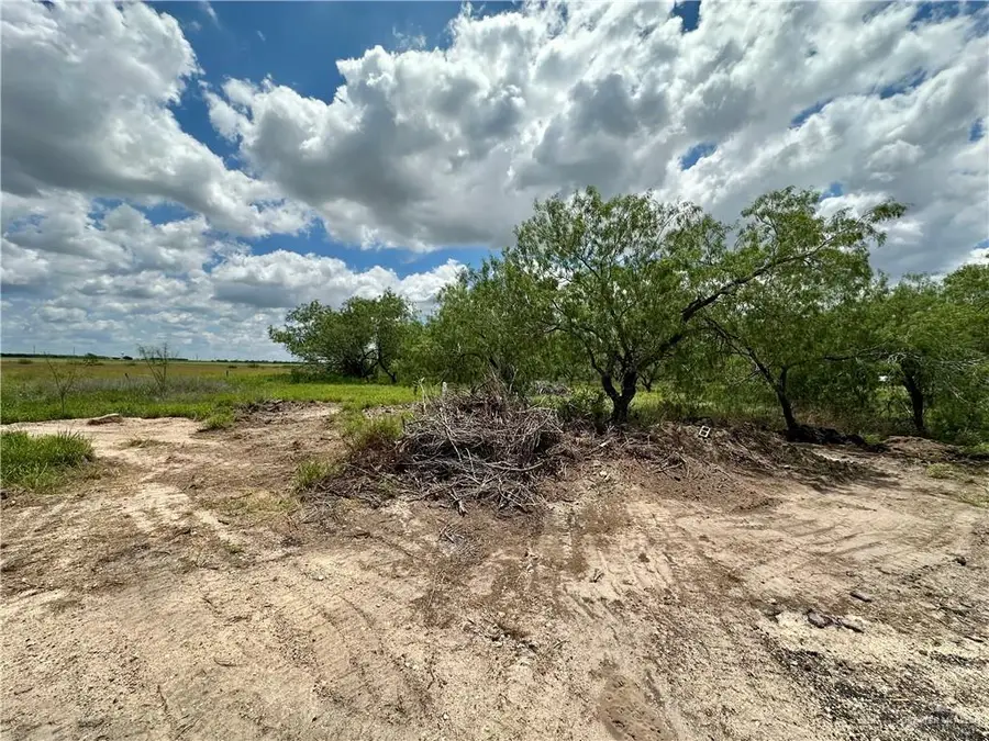 0 Calichera Road, Edinburg, TX 78541 - #3