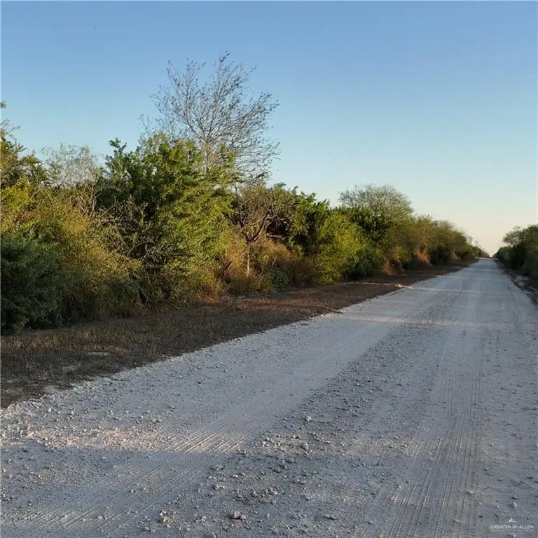 00 Cr 313, Encino, TX 78353 - #1