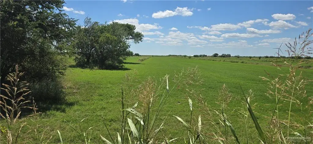 00 Nelson, Rio Hondo, TX 78583 - #1