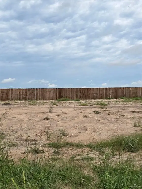 3305 Woodlands Drive, Mission, TX 78574