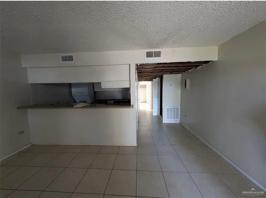 519 S 4th Street S, Edinburg, TX 78539 - #2