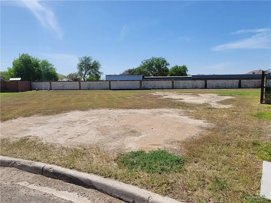 3824 E Roosevelt Avenue, Alton, TX 78573 - #2