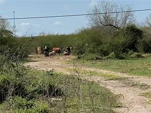 0 W Brushline Road, Mission, TX 78574