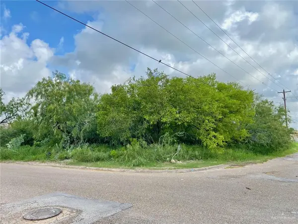 TBD N Palm Street, Progreso, TX 78570