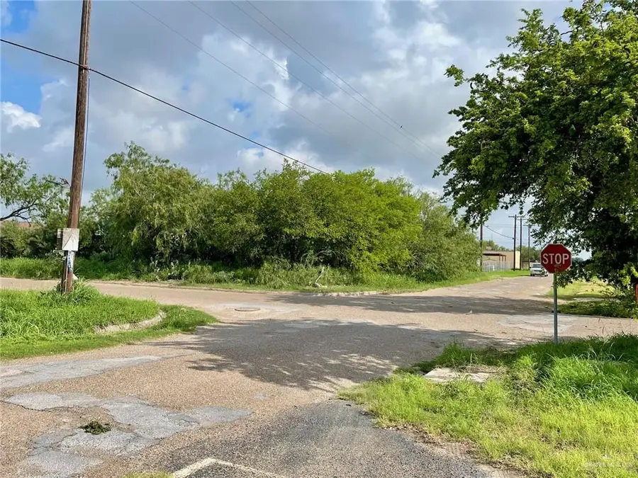 TBD N Palm Street, Weslaco, TX 78570 - #3