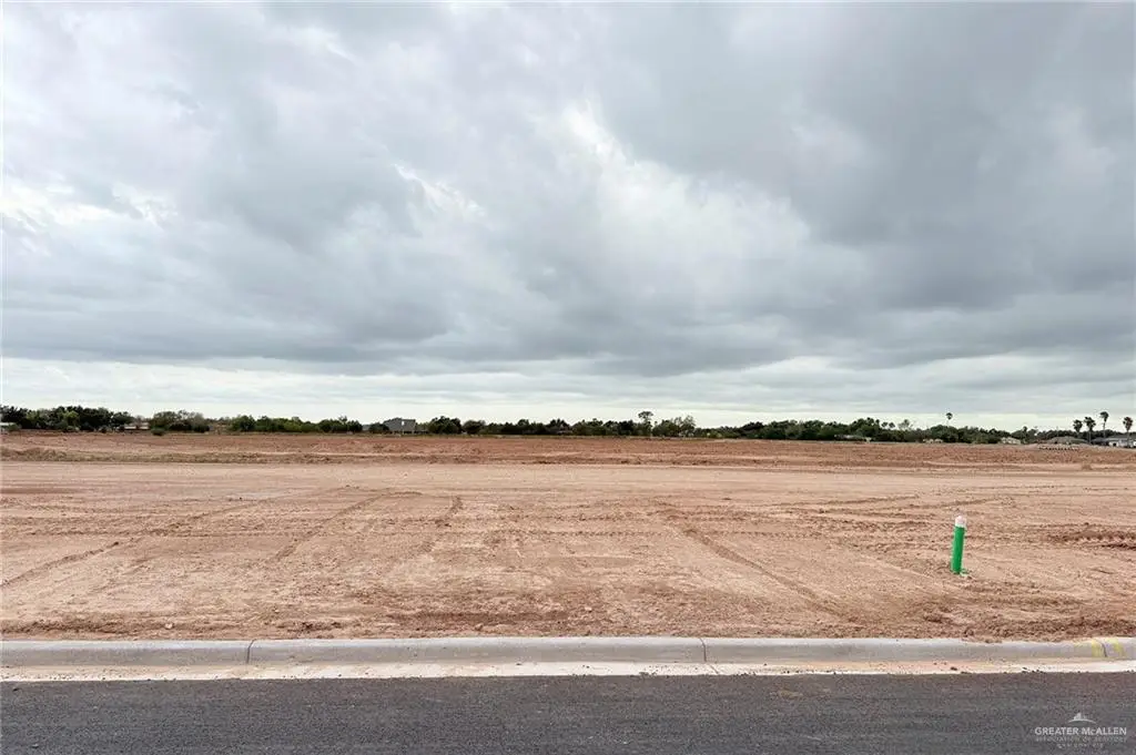 1301 Las Brisas Drive, Mission, TX 78574 - #1