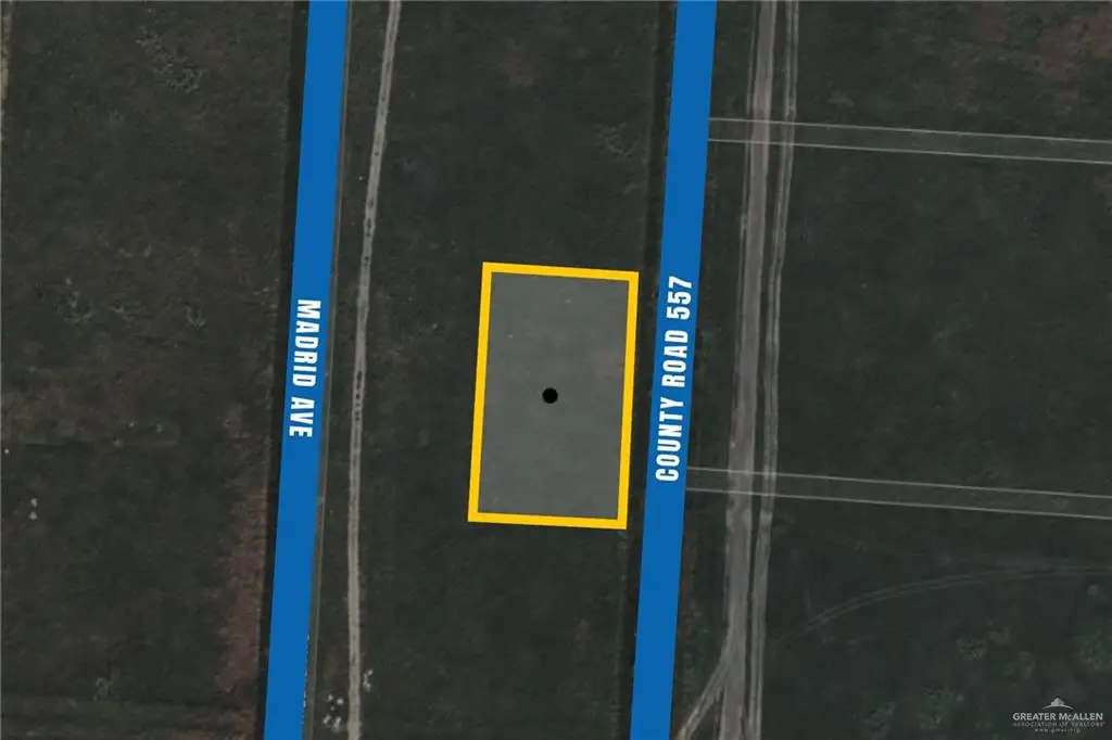 0 Bosque Avenue, Los Fresnos, TX 78566 - #1