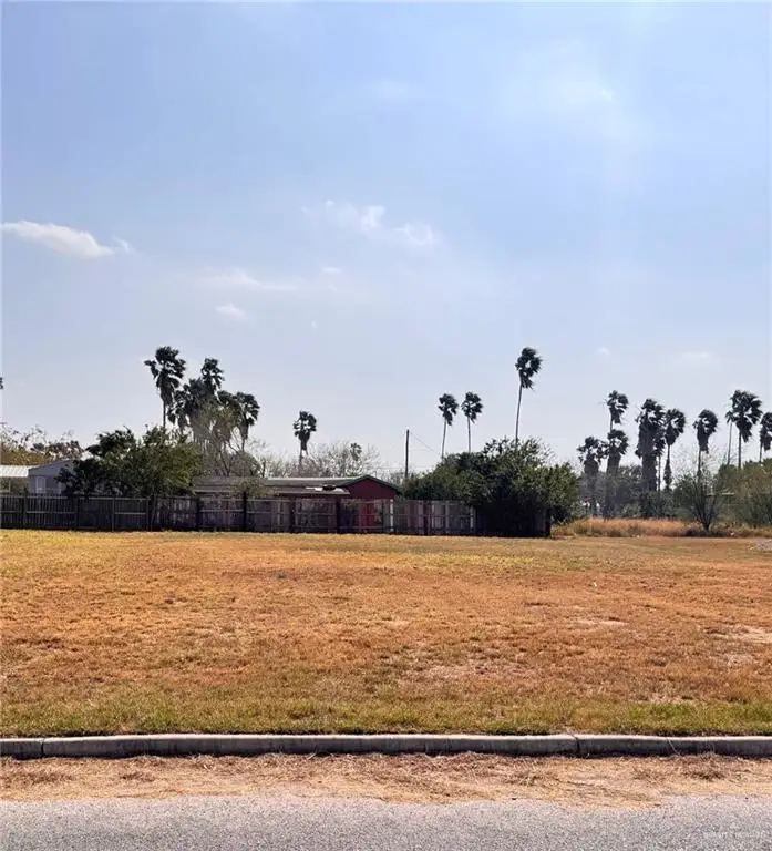 10908 Cantu Drive, Edinburg, TX 78542 - #1