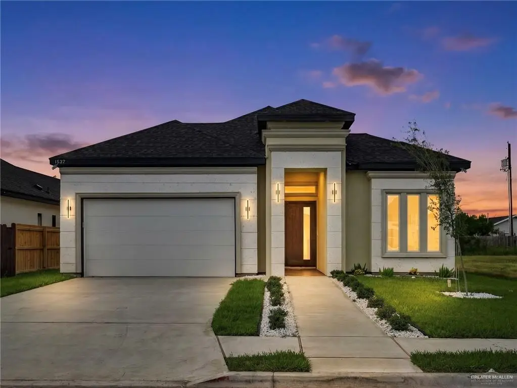 1307 S 9th Street, Alamo, TX 78516 - #1