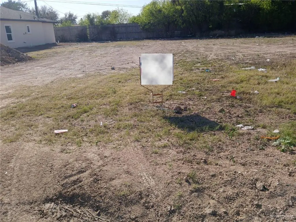 413 S 12th Street, Alamo, TX 78516 - #1