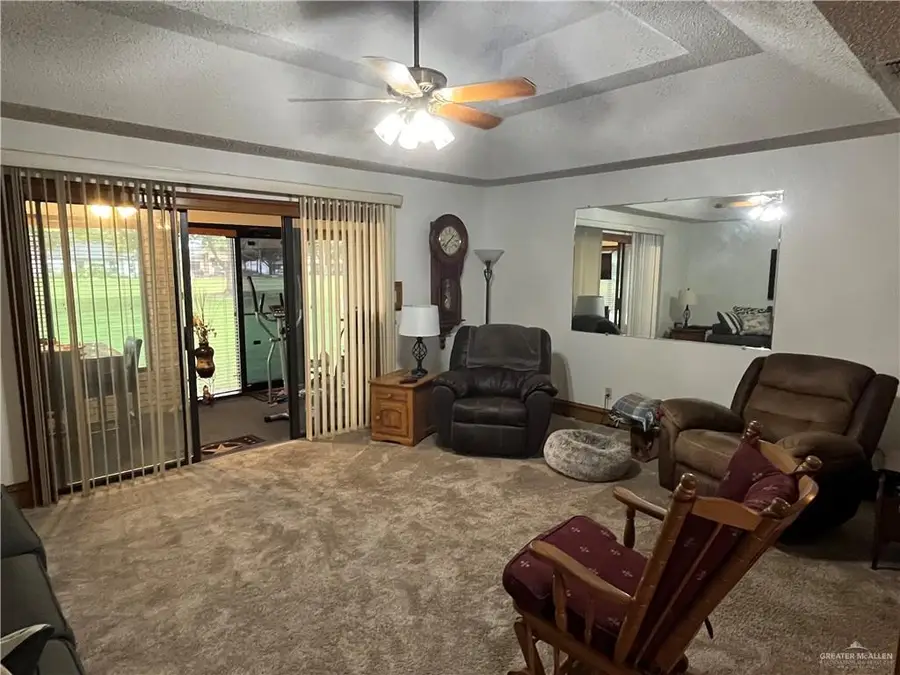 847 Palm Drive, Alamo, TX 78516 - #3