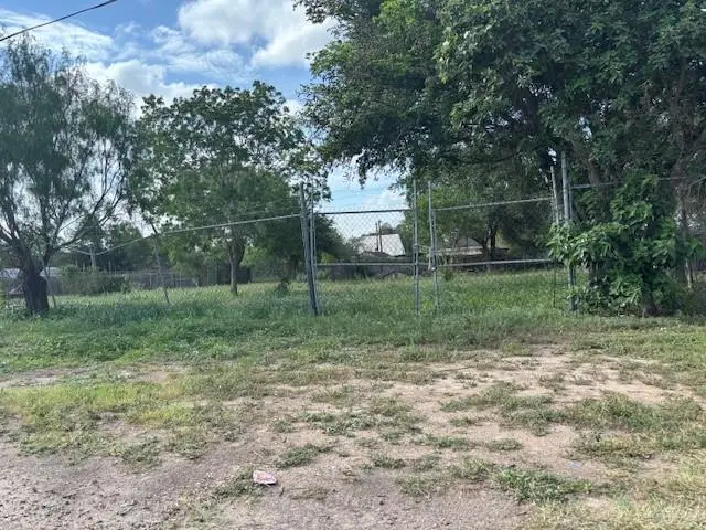 215 Lincoln Avenue, Edinburg, TX 78542 - #2