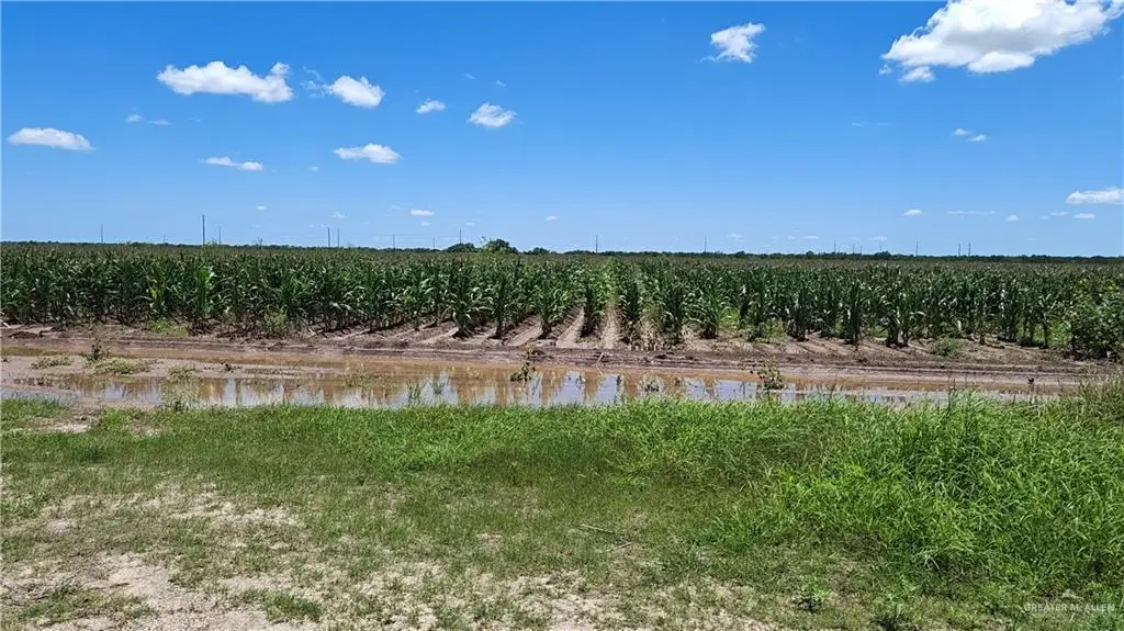 675 Landrum Park Road, San Benito, TX 78586 - #1